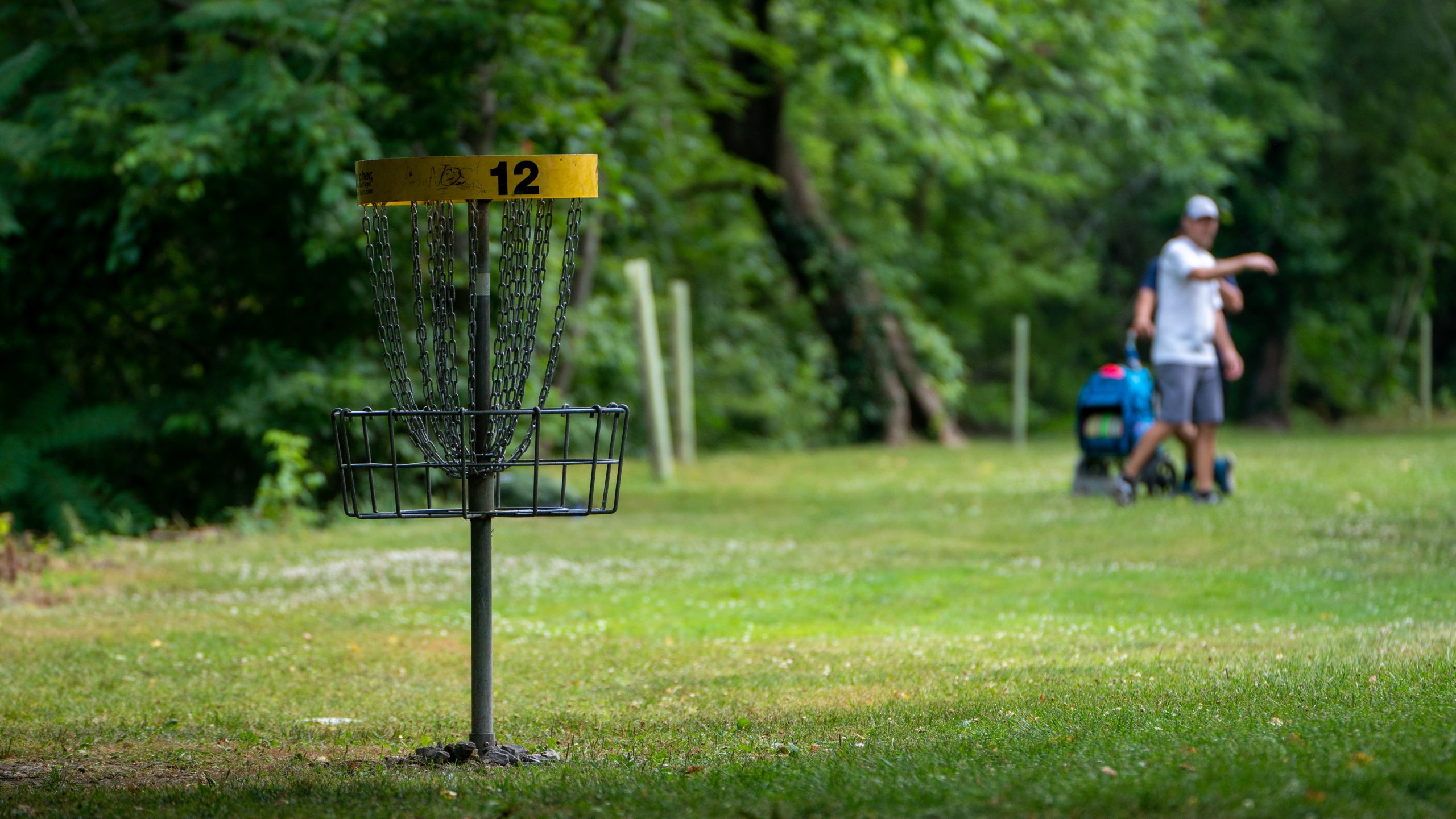 Men's Disc Golf Outing